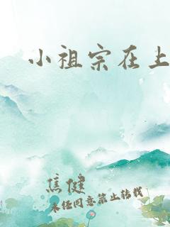 小祖宗在上 小祖宗在上