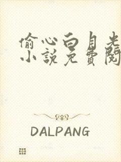 偷心白月光完结小说免费阅读 偷心白月光完结小说免费阅读