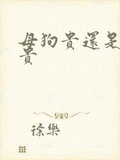 母狗贵还是公狗贵 母狗贵还是公狗贵