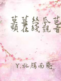 草莓丝瓜芭乐视频在线观看