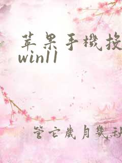 苹果手机投屏到win11