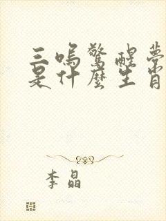 三呜惊醒梦中人是什么生肖