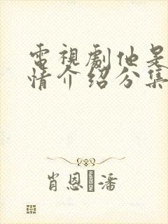 电视剧他是谁剧情介绍分集介绍 电视剧他是谁剧情介绍分集介绍