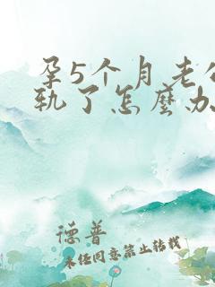 孕5个月老公出轨了怎么办