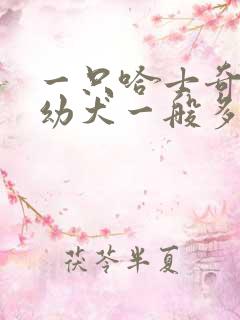 一只哈士奇纯种幼犬一般多少钱 一只哈士奇纯种幼犬一般多少钱