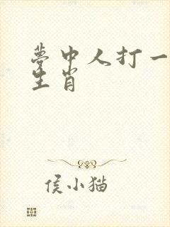 梦中人打一准确生肖