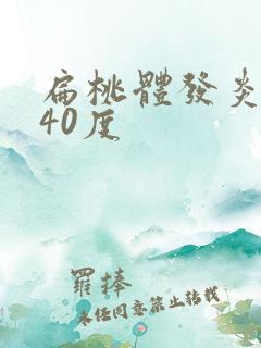 扁桃体发炎高烧40度