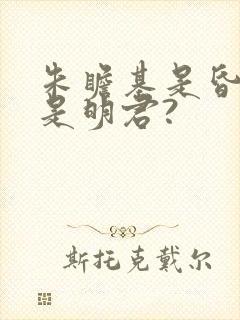 朱瞻基是昏君还是明君?