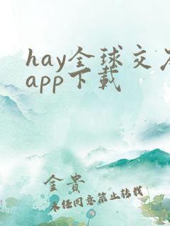 hay全球交友app下载