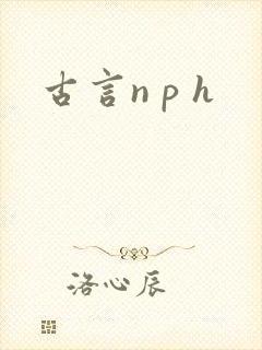 古言n p h