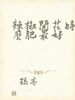 辣椒开花时施什么肥最好