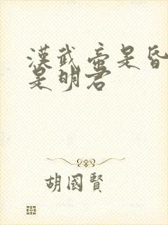 汉武帝是昏君还是明君