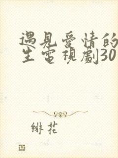 遇见爱情的利先生电视剧30集