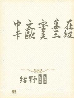 中文字幕在线不卡欧美三级