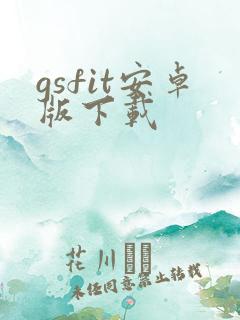 gsfit安卓版下载 gsfit安卓版下载
