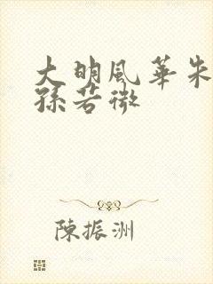大明风华朱瞻基孙若微