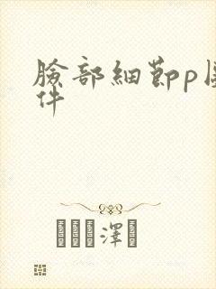 脸部细节p图软件
