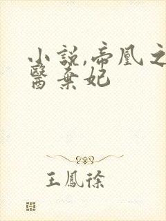 小说,帝凰之神医弃妃