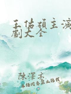 王佑硕主演电视剧大全