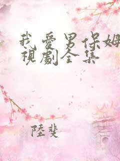 我爱男保姆的电视剧全集