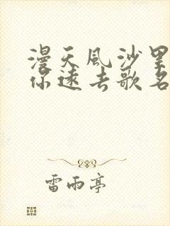 漫天风沙里望着你远去歌名歌词是什么意思