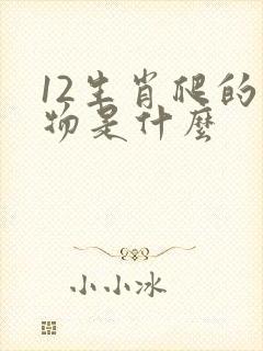 12生肖爬的动物是什么