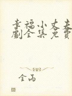幸福小丈夫电视剧全集免费