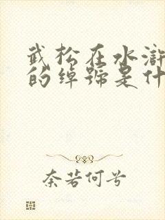 武松在水浒传里的绰号是什么