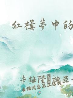 红楼梦中的诗文