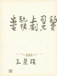 出轨上司的妻子电视剧免费观看