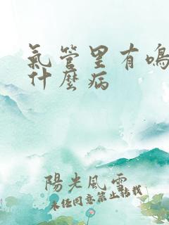 气管里有鸣音是什么病
