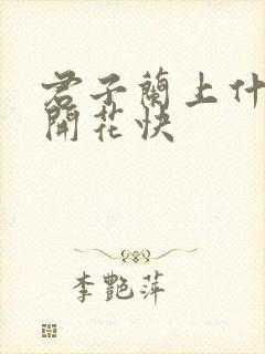 君子兰上什么肥开花快
