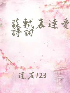 苏轼表达爱情的诗词