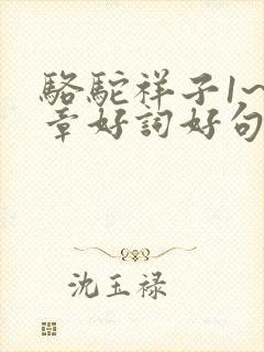 骆驼祥子1~6章好词好句