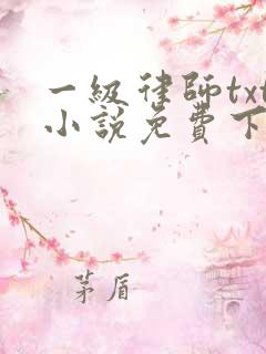 一级律师txt小说免费下载