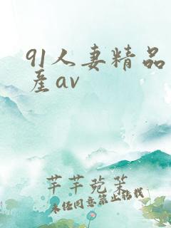 91人妻精品国产av