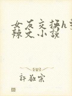 女友交换h系列辣文小说