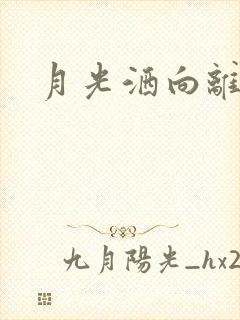 月光洒向离人巷