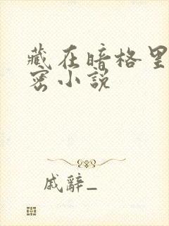 藏在暗格里的秘密小说 藏在暗格里的秘密小说