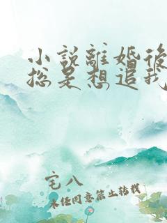 小说离婚后前夫总是想追我免费阅读