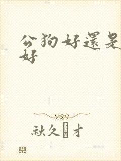 公狗好还是母狗好