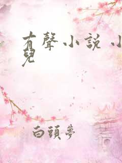 有声小说 小苮儿