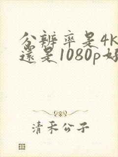 分辨率是4k好还是1080p好