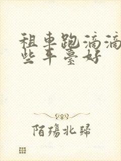 租车跑滴滴有哪些平台好