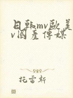 日韩mv欧美mv国产传媒