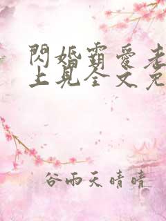 闪婚霸爱老婆晚上见全文免费阅读霸宠妻无度