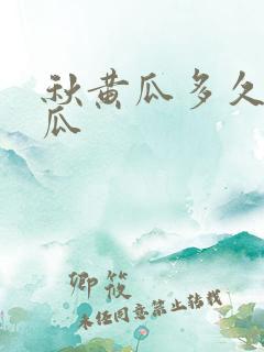 秋黄瓜多久能结瓜