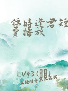 锦时逢君短剧免费播放