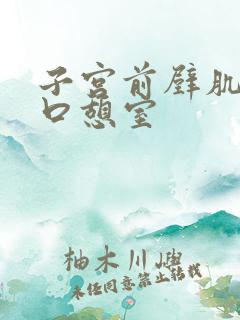 子宫前壁肌层切口憩室