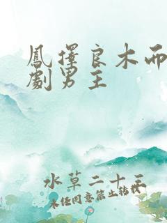 凤择良木而栖短剧男主
